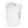 Adler AD 7971 ultragarsinis drėkintuvas | 30 W | 5 l talpa | 100-250 ml/val