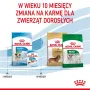 ROYAL CANIN Puppy Mini - sausas šunų ėdalas - 8 kg