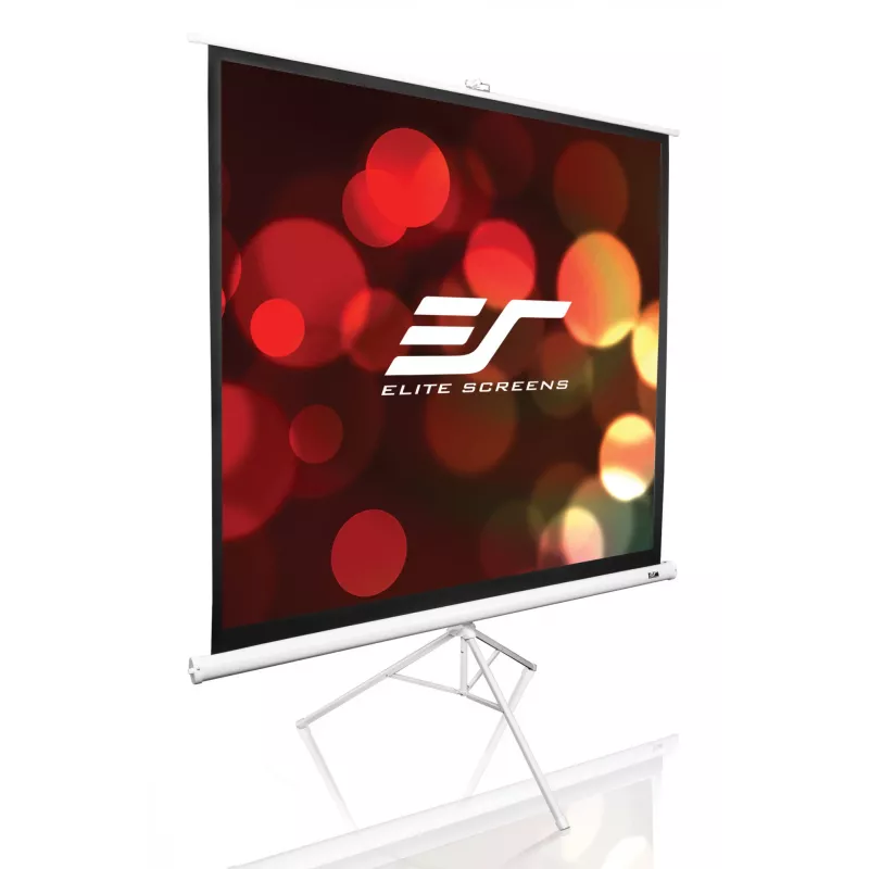 Stalinis projekcinis ekranas ant trikojo Elite Screens T113NWS1 2,87 m 1:1