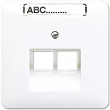 Sieninis RJ-45 lizdas Jung CD 569-2 NAUA WW, baltas termoplastikas