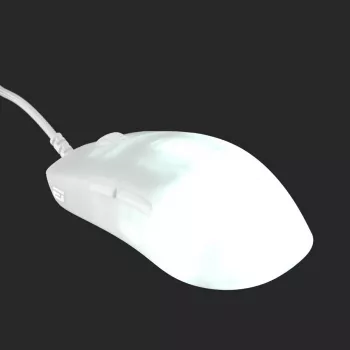 Endgame Gear OP1 RGB žaidimų pelė Dešinei rankai USB Type-A Optinė 26000 DPI