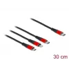 USB įkrovimo laidas DeLOCK 86710 3 in 1 USB Type-C / Lightning / Micro USB 30 cm juodas raudonas