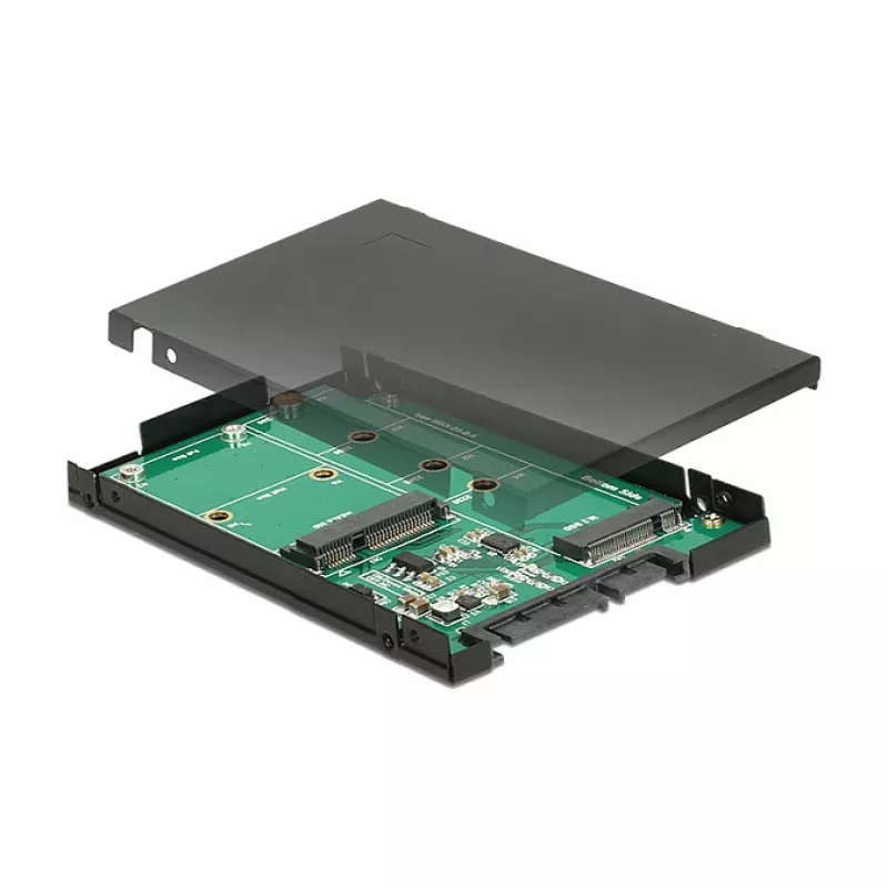 DeLOCK 62866 vidinė sąsajos plokštė M.2 mSATA
