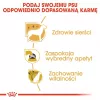 ROYAL CANIN BHN Yorkshire Terrier Adult - sausas šunų maistas - 3kg