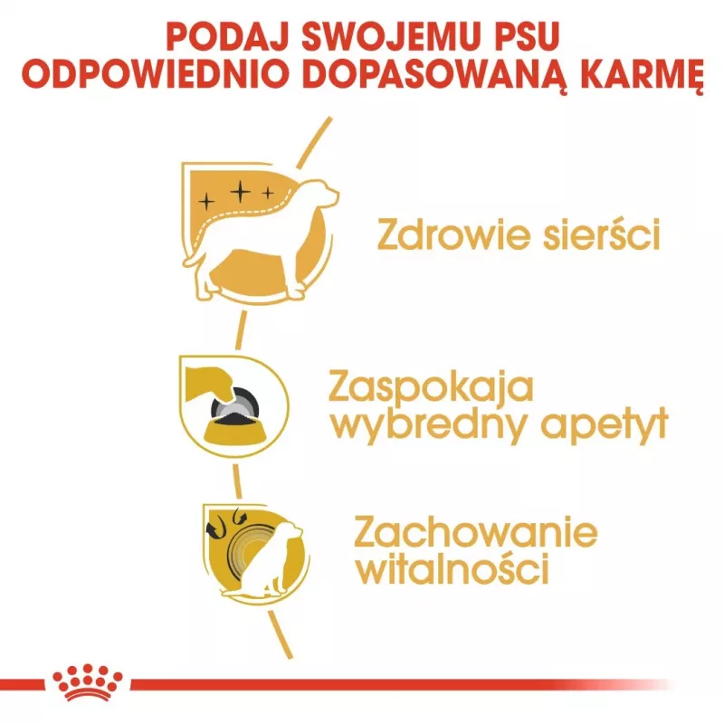 ROYAL CANIN BHN Yorkshire Terrier Adult - sausas šunų maistas - 3kg