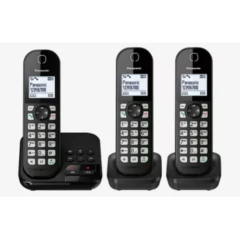 DECT telefonas Panasonic KX-TGC 463GB