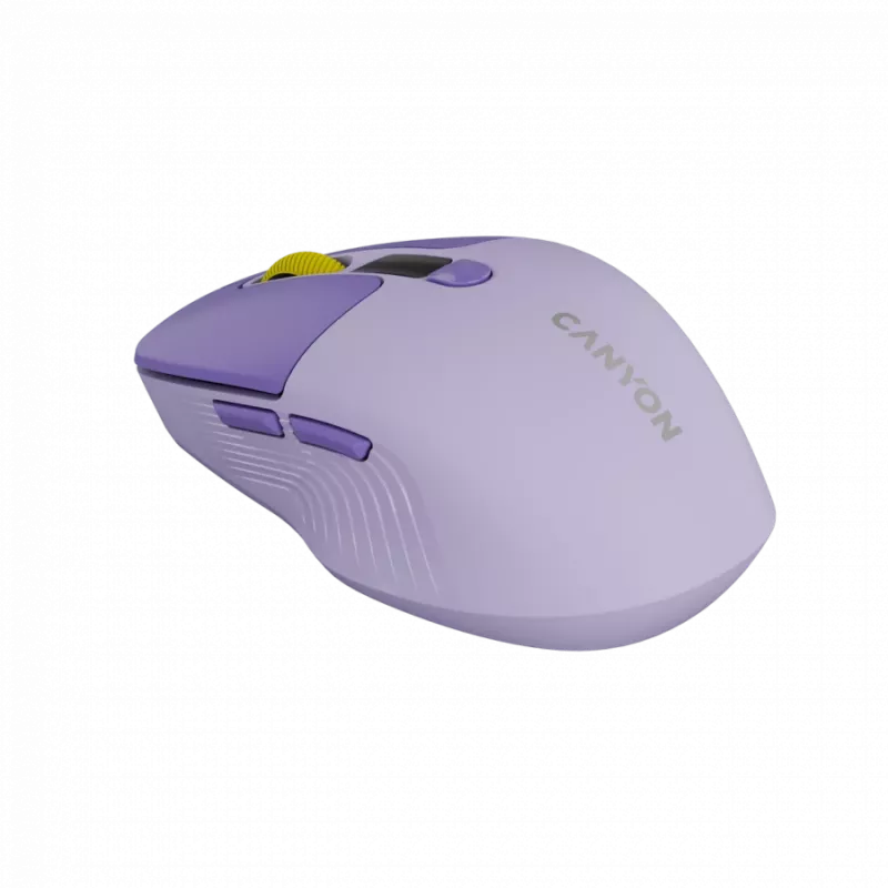 Belaidė pelė CANYON MW-26 LCD Silent Dual Mode Wireless