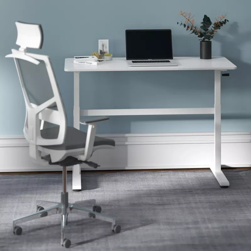 Stalas su rankiniu aukščio reguliavimu Ergo Office ER-401 W, maks. 40 kg, maks. aukštis 117 cm, su stalviršiu darbui stovint ir sėdint