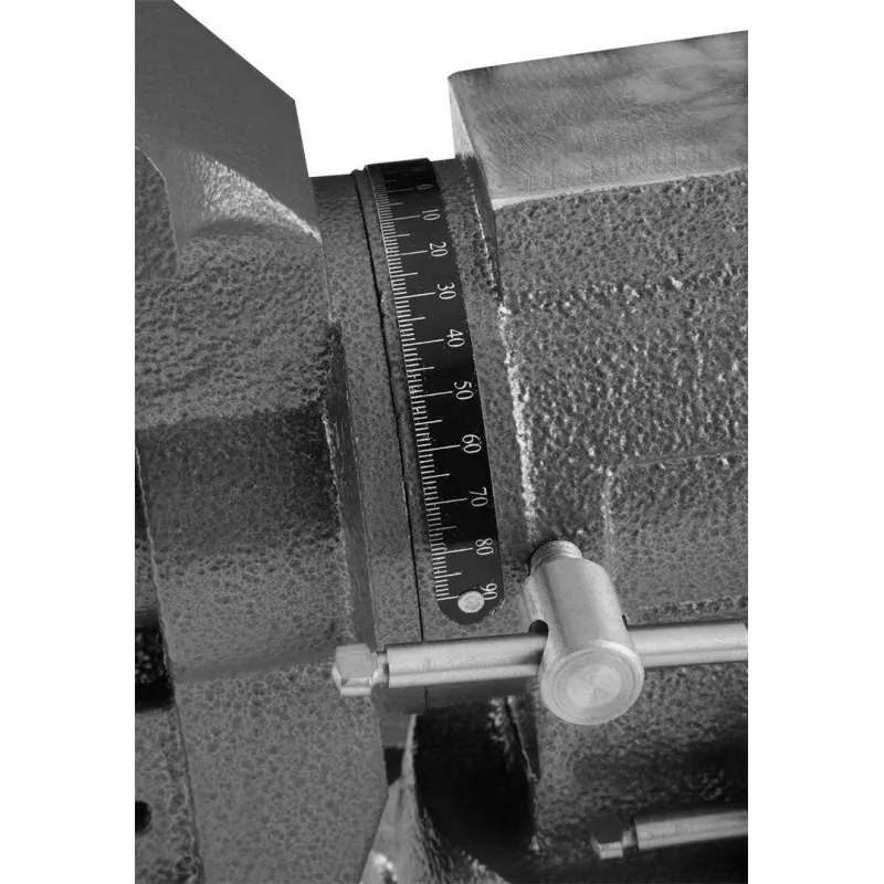 Pasukamas šaltkalvio spaustuvas NEO tools 100 mm 360° (model 35-030)