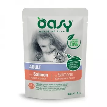 Oasy gabaliukai padaže Suaugę Lašiša 85gr