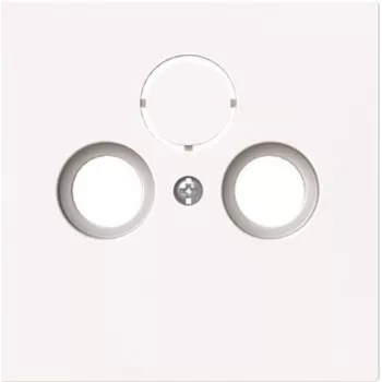 BUSCH-JAEGER 1743-44G centrinis dangtelis Antena 2 / Trigubas (2CKA001724A4432)