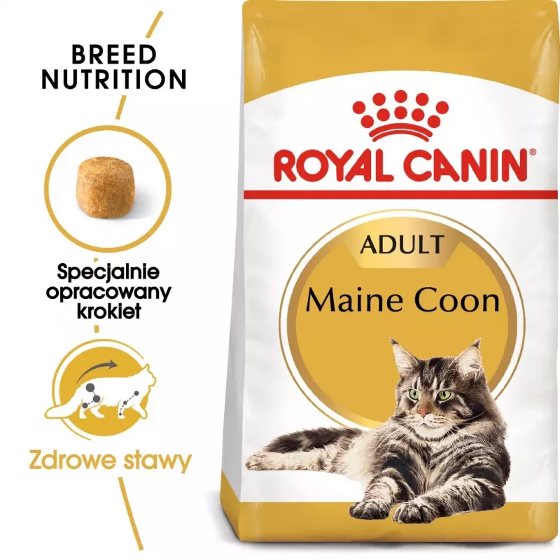 Royal Canin FBN Maine Coon Adult sausas maistas katėms, 4 kg