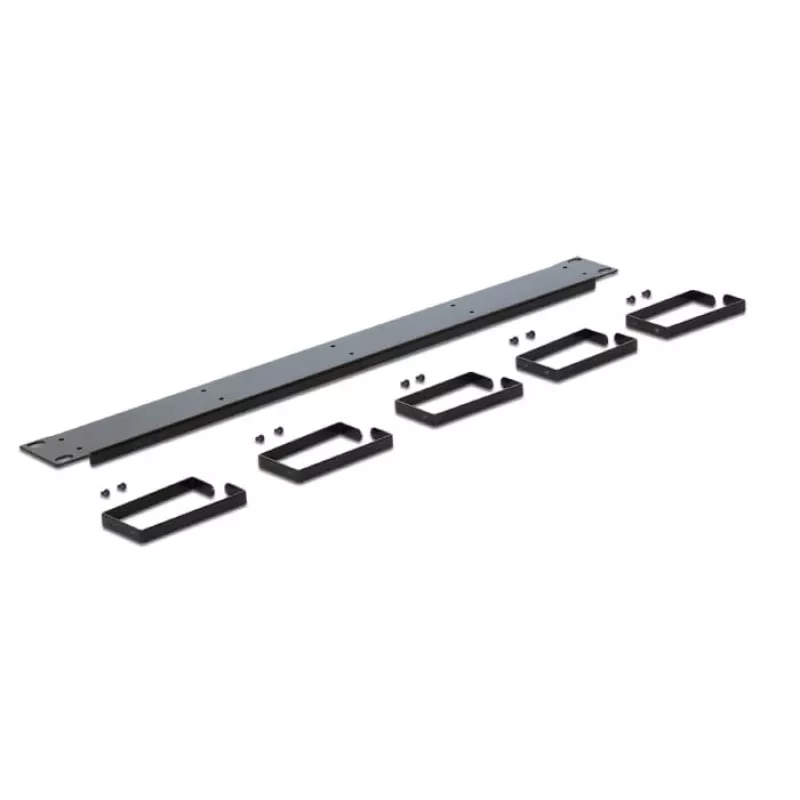 DeLOCK 42496 1U kabelių valdymo skydelis 19 inch