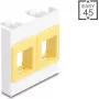 Montavimo rėmelis DELOCK Easy 45 Modulis 2x Keystone laikikliai 45×45 mm baltas/geltonas