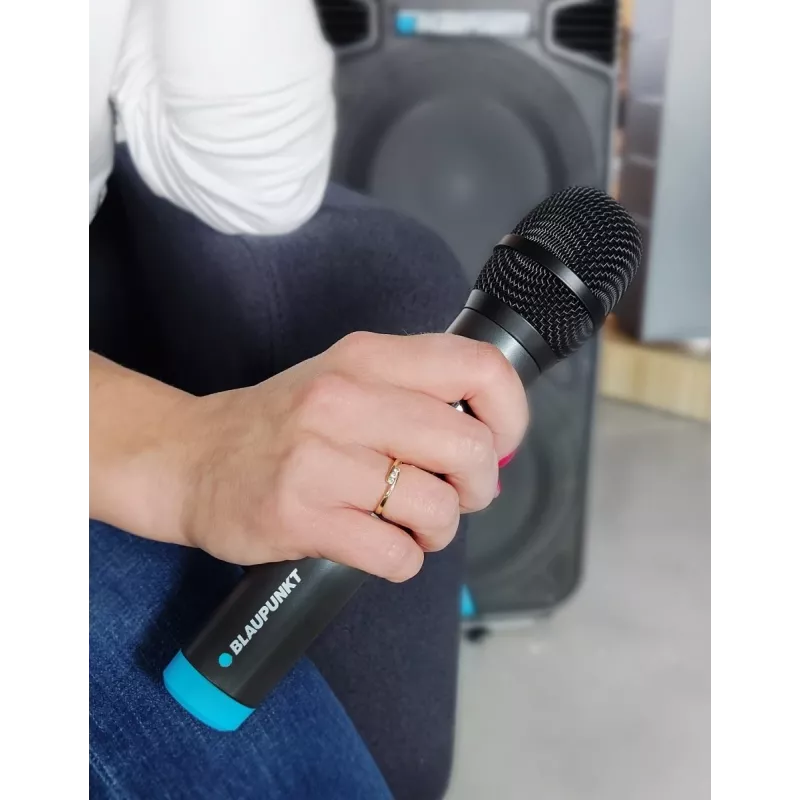 Mikrofonas Blaupunkt WM40U