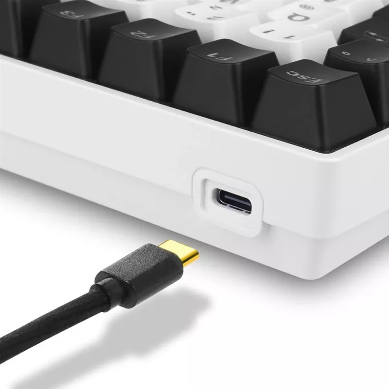 Sharkoon SKILLER SGK50 S3 klaviatūra mechaninė gaming USB QWERTY rusiška balta