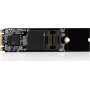 CoreParts NE-256T vidinis kietojo kūno diskas 256 GB M.2 PCI Express 3.0 NVMe 3D TLC