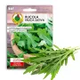 Sėklos ant juostos — Apte Rukola (Eruca sativa) 6 m