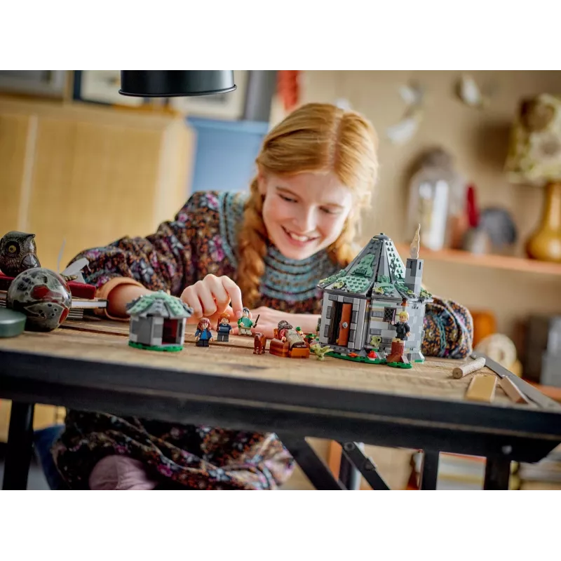 LEGO HARRY POTTER 76428 Hagrid's trobelė – Netikėtas apsilankymas