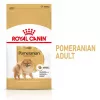 Sausas šunų ėdalas Royal Canin Pomeranian Adult 3 kg – smulkių veislių šunų receptūra suaugusiems pomerniams