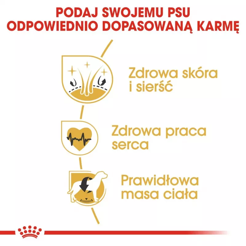 ROYAL CANIN BHN Golden Retriever sausas šunų maistas - 12kg