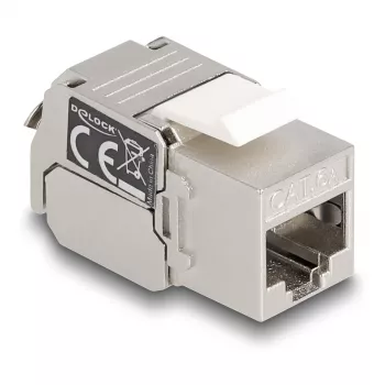 DeLOCK Keystone modulis RJ45 lizdas į LSA Cat.6A su LED sidabriškai baltas