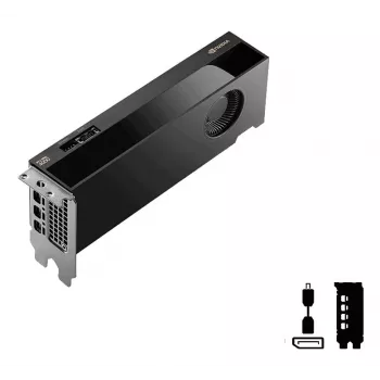 PNY RTX PRO 4000 Blackwell NVIDIA 24 GB GDDR7 profesionali vaizdo plokštė