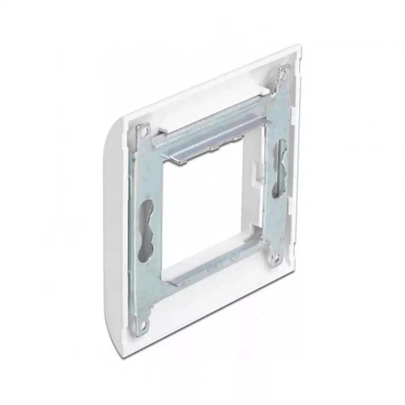 Modulio laikiklis DeLOCK Easy 45 80x80 mm baltas