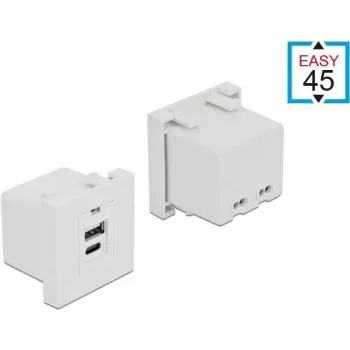 Lizdo modulis USB A + USB C DeLOCK 81313