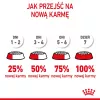 Sausas kačių ėdalas Royal Canin Kitten 4 kg su paukštiena