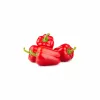 Sėklų granulės Seklos LT Ożarowska Paprika 50 sėklų (dengtos)