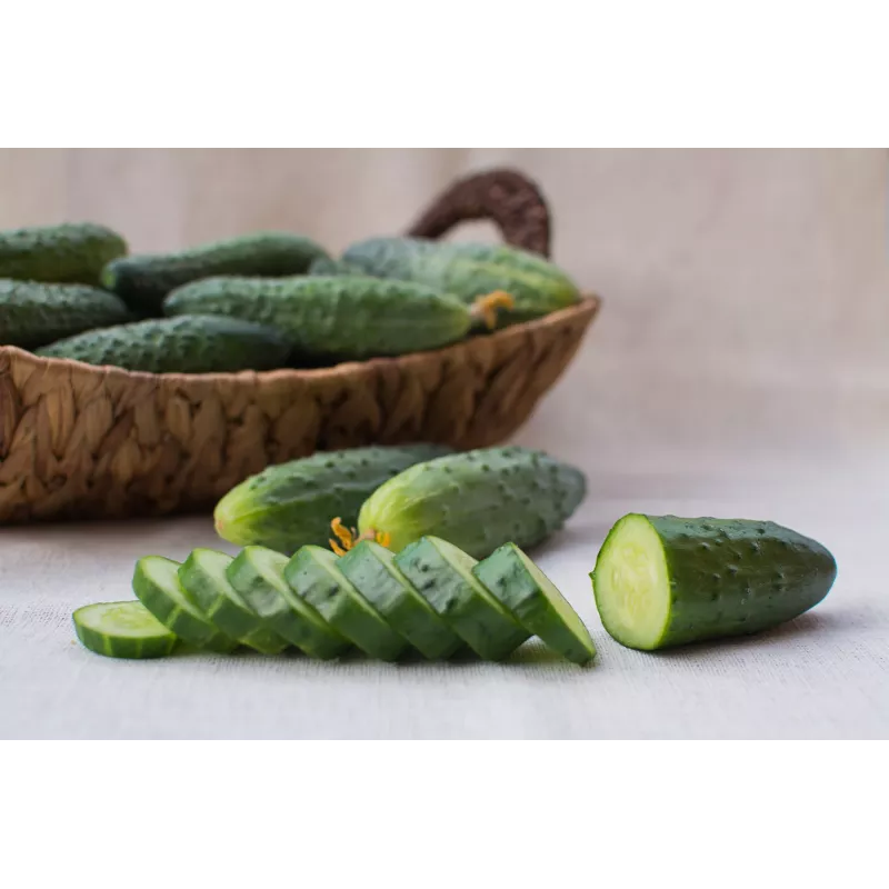 Agurkų Sėklos Srem Cucumber F1 Toraf, 5g Pakuotė