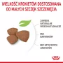 Royal Canin Mini Puppy SHN sausas maistas šunims, 2 kg