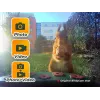 EASYPIX Bird Cam 10123 1080p HD naktinio matymo paukščių kamera