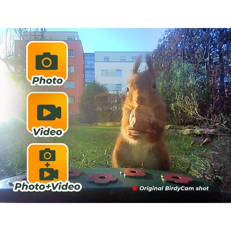 EASYPIX Bird Cam 10123 1080p HD naktinio matymo paukščių kamera
