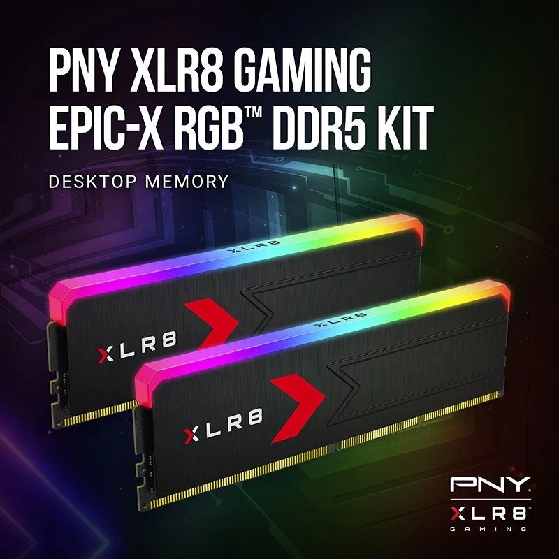 Atminties modulis PNY DDR5 32GB 5600 BULK