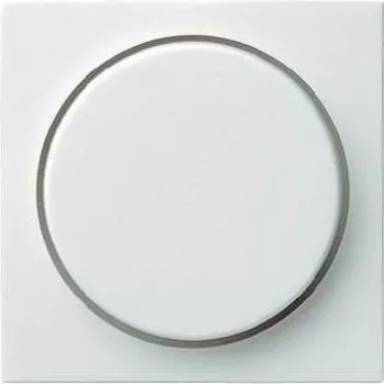 GIRA 0650 03 – Viengubas dekoratyvinis rėmelis, baltas