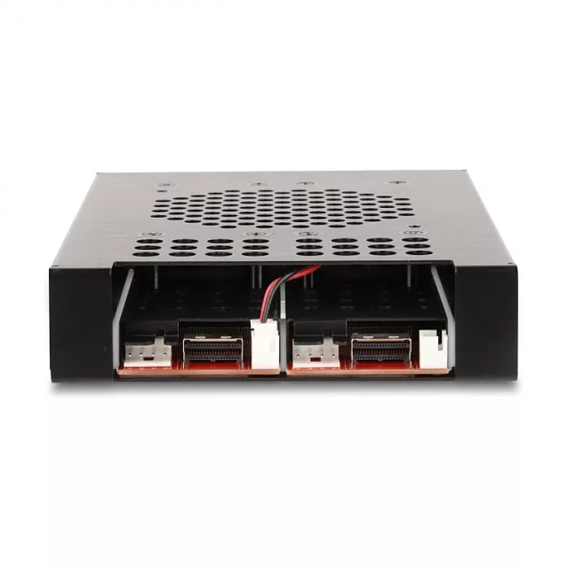 SSD korpusas DeLOCK 47117 3.5 col. mobilus stovas 2 x M.2 NVMe SSD