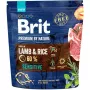 BRIT Premium by Nature Sensitive Lamb & Rice sausas šunų maistas 1 kg