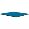 Thermal Grizzly Minus Pad Advance – šiluminės tarpinės, 100 × 100 × 0,5 mm, 2 vnt. (TG-MP-A-100-100-05-2)