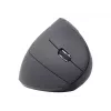 Gembird MUSW-ERGO-01 belaidė optinė pelė, RF, 1600 DPI, dešinei rankai