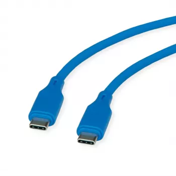 ROLINE USB 2.0 laidas C-C ST/ST Silikoninis 60W 1m Mėlynas