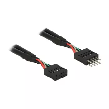 Laidas DeLOCK 0,1 m 2xUSB 2.0 10 kontaktų