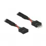 Laidas DeLOCK 0,1 m 2xUSB 2.0 10 kontaktų