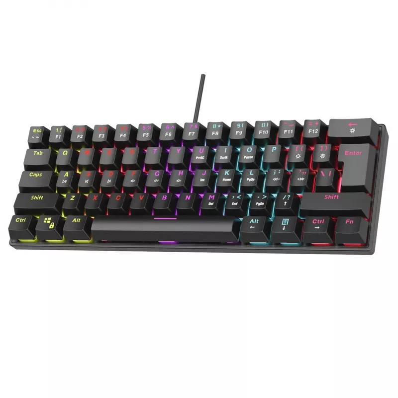 Mechaninė klaviatūra RAMPAGE PLOWER K60 su Blue jungikliais ir RGB apšvietimu