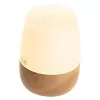 Aromadifuzeris Adler AD 7967 – ultragarsinis, iki 25 m², rudas/baltas