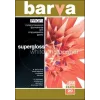 Foto popierius Barva Profi Super Glossy 255 g/m² A3 20 lapų