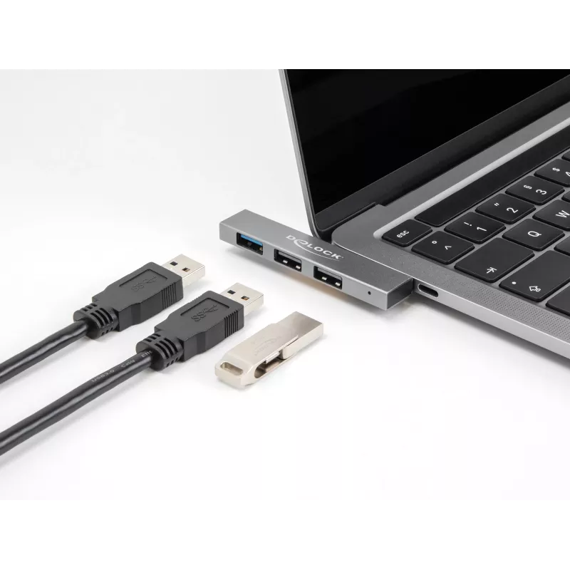 DeLOCK 3 prievadų plonas USB šakotuvas USB Type-C 10 Gbps 2 x USB 2.0