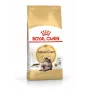 Sausas ėdalas katėms Royal Canin Maine Coon Adult 10 kg – paukštiena (vištiena), 31% baltymų, 20% riebalų