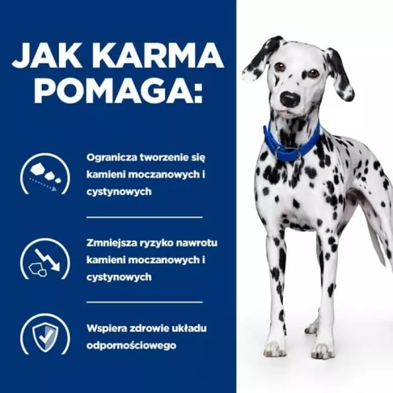 HILL'S Prescription Diet Urinary Care Original šlapias šunų maistas 370 g